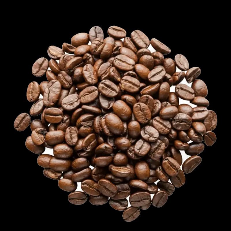 راهنمای کامل دم‌آوری قهوه برای مبتدیان