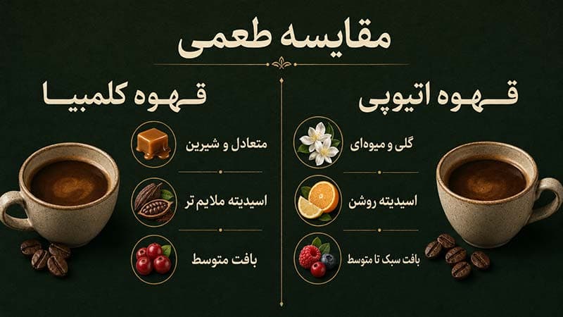 تفاوت قهوه اتیوپی و کلمبیا؛ کدام برای شما مناسب‌تر است؟
