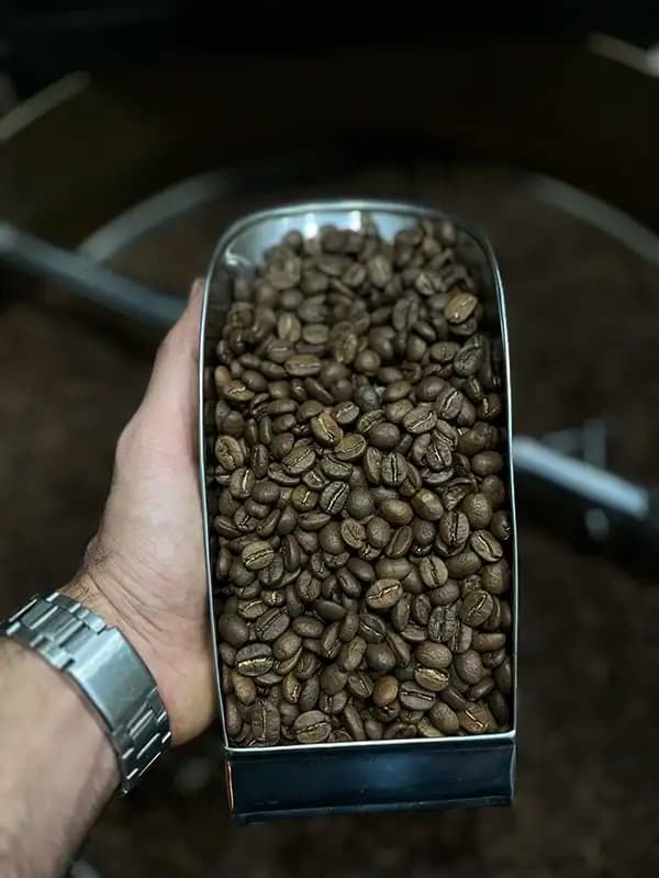 دانه قهوه عربیکا کلمبیا در سرتاس