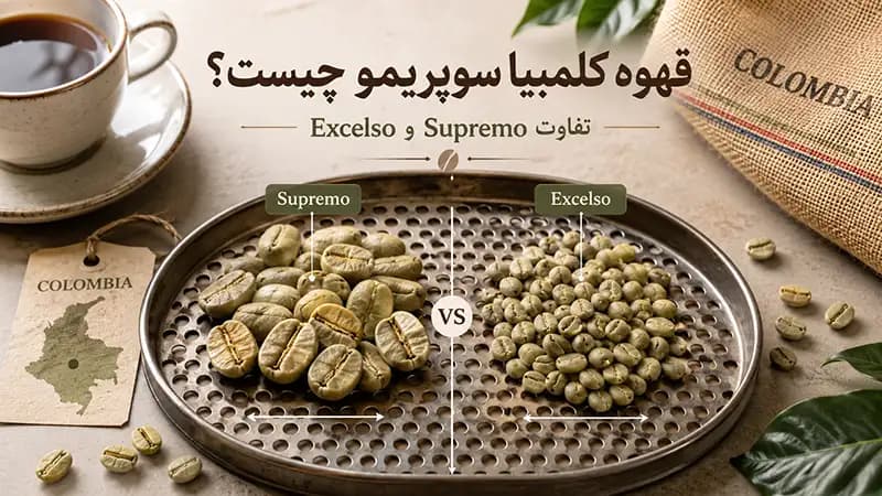 قهوه کلمبیا سوپریمو چیست؟ معنی Supremo و تفاوت آن با Excelso