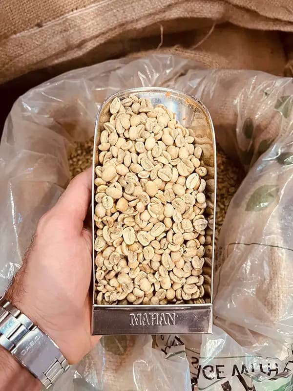 دانه سبز قهوه عربیکا گواتمالا