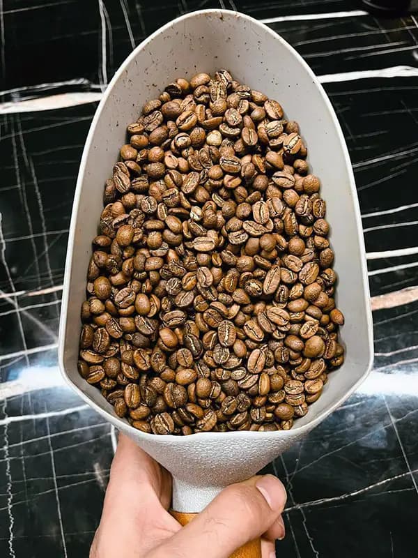 دانه رست شده قهوه عربیکا گواتمالا