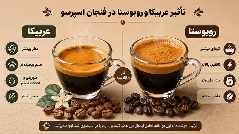 مقایسه دو فنجان قهوه اسپرسو عربیکا و روبوستا